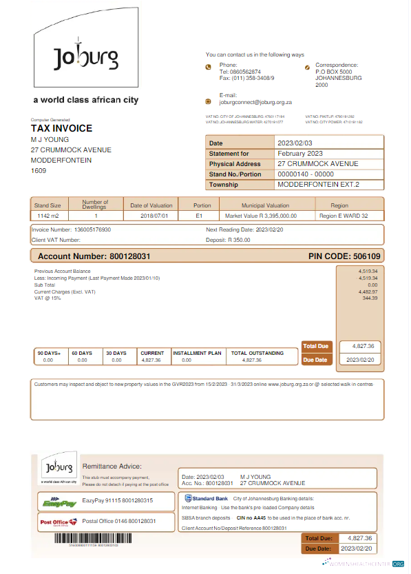 download download SOUTH AFRICA JOBURG utility bill Word and PDF template PDF template PDF template